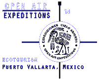 Open Air Expeditions - Whale Watching and Ecotourism Experts